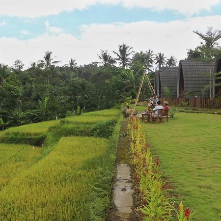 Omah Bapak Ijen Eco House Hotel Licin Exterior foto