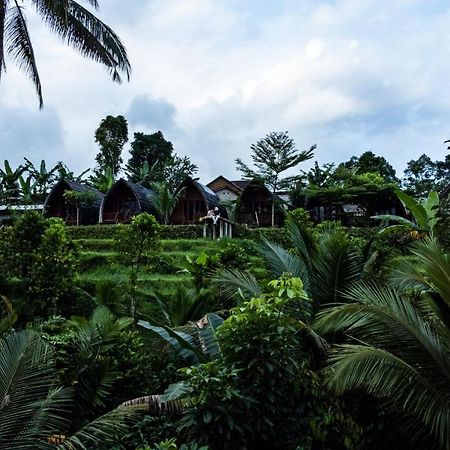 Omah Bapak Ijen Eco House Hotel Licin Exterior foto