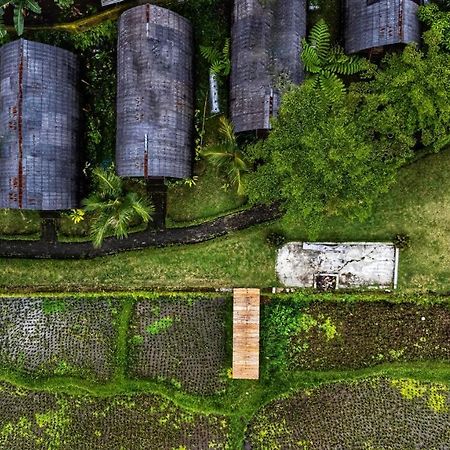 Omah Bapak Ijen Eco House Hotel Licin Exterior foto