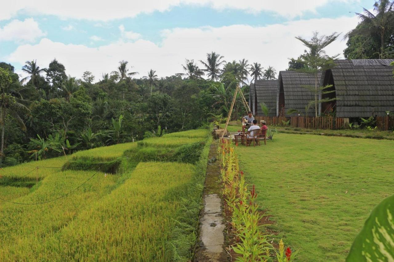 Omah Bapak Ijen Eco House Hotel Licin Exterior foto