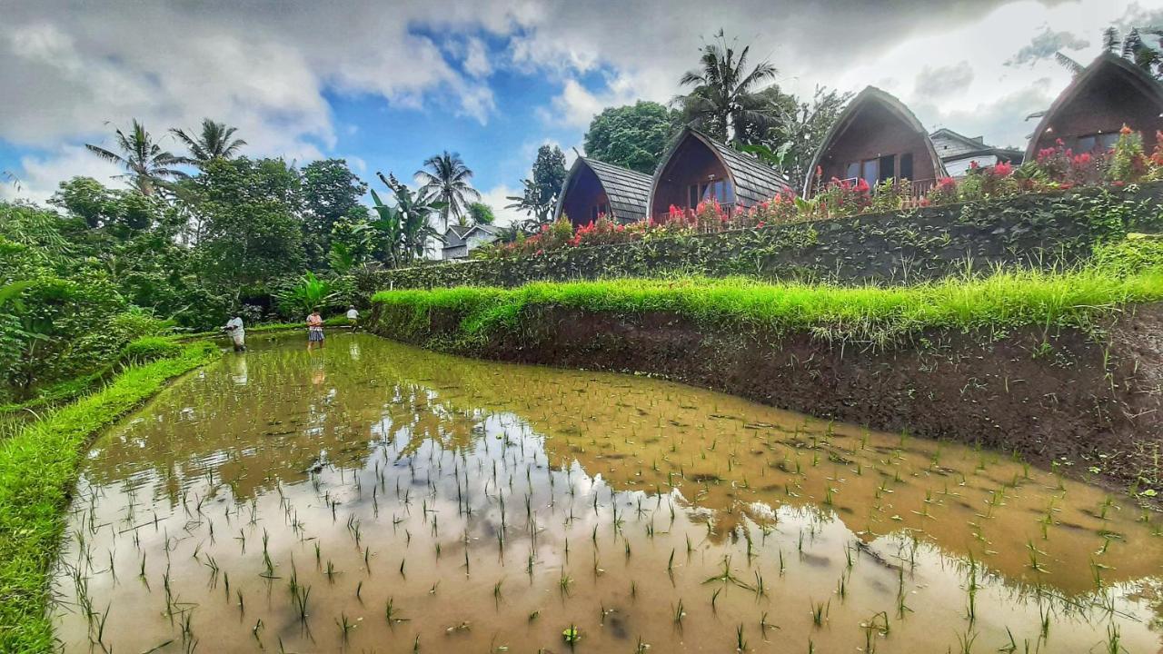 Omah Bapak Ijen Eco House Hotel Licin Exterior foto