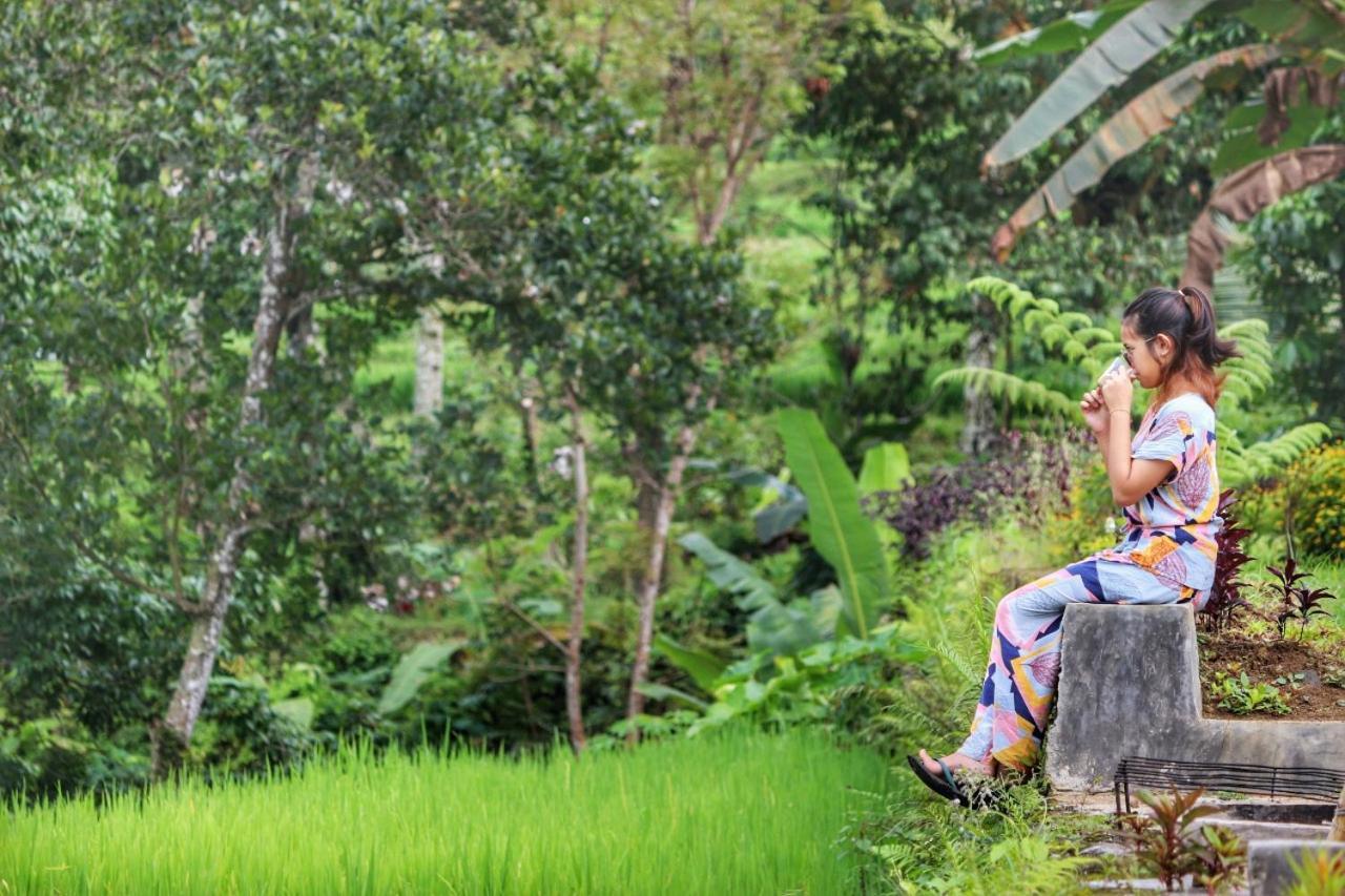 Omah Bapak Ijen Eco House Hotel Licin Exterior foto