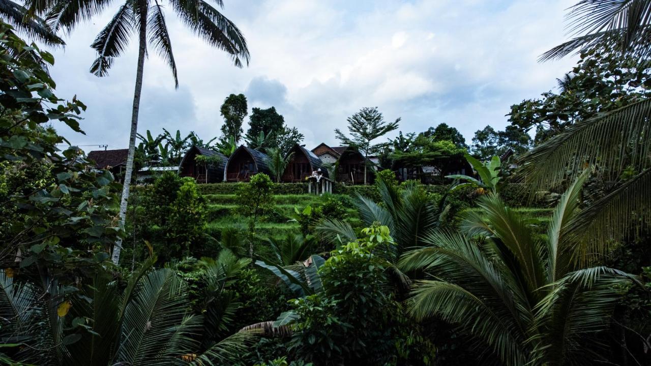 Omah Bapak Ijen Eco House Hotel Licin Exterior foto