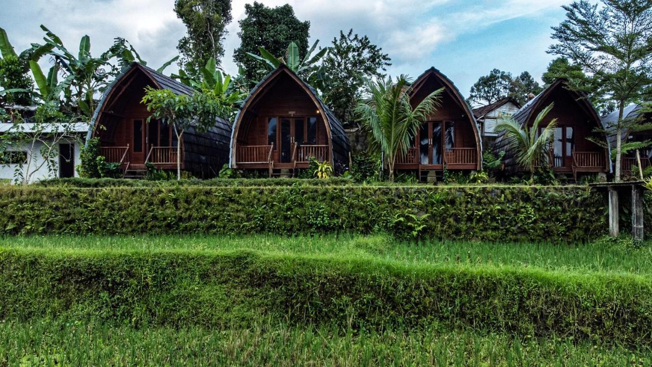 Omah Bapak Ijen Eco House Hotel Licin Exterior foto